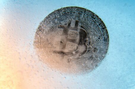 Analyst says crypto winter has changed crypto companies