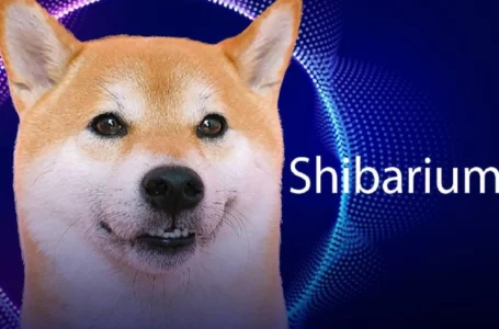 Shiba Inu Major Developer Hints at Shibarium Release