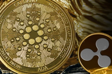 Cardano Beats Ripple by Market Cap: CoinMarketCap