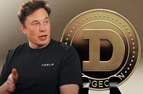 Elon Musk Slams Dogecoin Creator Over Claims of Twitter Bot Solution