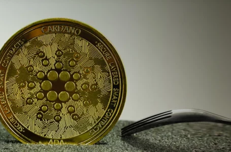 Cardano Events Ahead: June Hard Fork, P2P Protocol, DJED Stablecoin and More