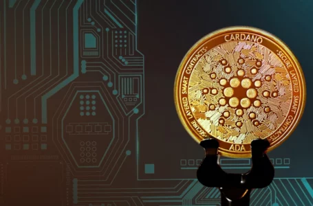 Cardano Founder Shares Key Inputs into Project’s Development