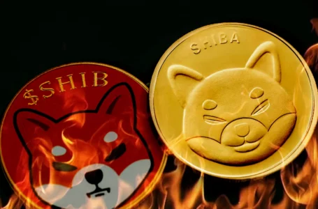 Shiba Inu Burn Rate Spikes 190% in 24 Hours: Report