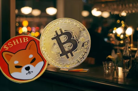 Shiba Inu, Bitcoin Now Accepted in 2,900 Locations of This Leading Fast-Food Chain: Details