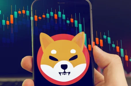 Shiba Inu Suggests Key Trend as Price Dips per This Metric: Details