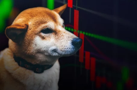 SHIB Market Cap Drops 3 Times More Than Its Price, But Why Is It Good Thing?