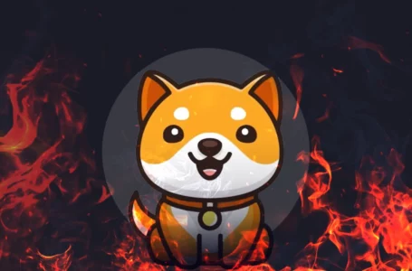 BabyDoge Community Plans to Burn 50 Quadrillion Tokens with 6 Quadrillion Already Burned in Just 2 Days