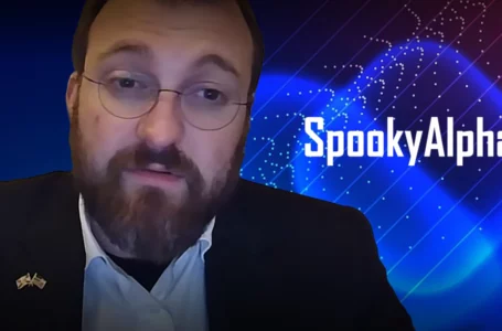 Charles Hoskinson Trolls Critics, Saying ADA Transactions Have Dramatically Risen Due to “SpookyAlpha”