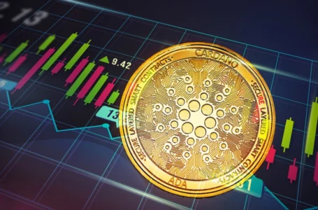 Cardano Records 369% Year-to-Date Increase in Daily On-Chain Transfer Volumes