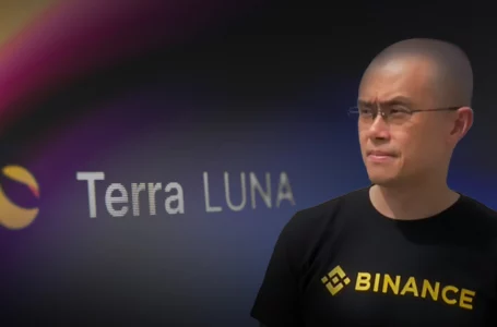 Binance CEO Reveals $1.6 Billion Loss in Terra Investments