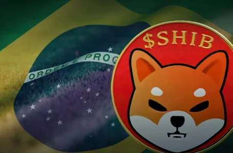 Shiba Inu Now Accepted as Payment by This Top Brazilian Football Club