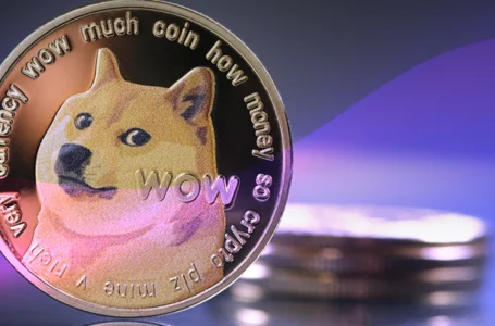 Dogecoin Core Release Plan Is Announced, and Here Are Its Major Points