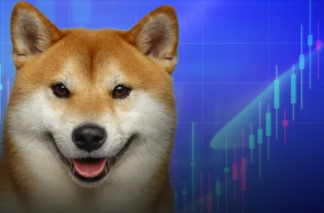 Here’s When Shiba Inu’s Price Will Start Moving with Higher Volatility, According to Charts