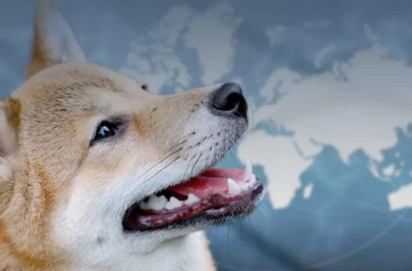 Shiba Inu Payments Now Enabled in 179 Countries Through This BitPay Integration