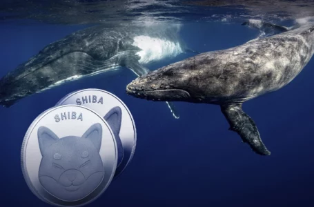 187 Billion SHIB Grabbed by “BlueWhale0159” Whale as Shiba Price Keeps Falling