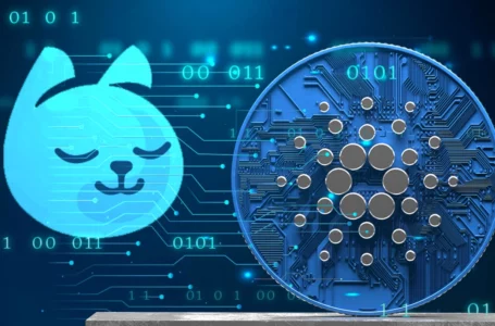 Cardano Minswap Introduces New Feature to Boost Liquidity