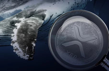 XRP Becomes Most Wanted Crypto by BSC Whales: Details