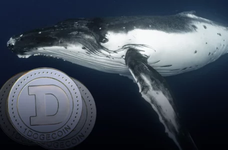 400 Million Dogecoin Bought by Whale as Price Nears Historic Support