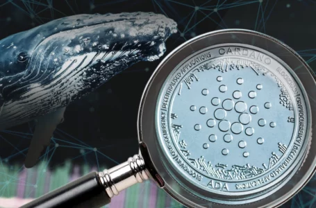 Cardano’a ADA Now Among Most Wanted Assets by Top BSC Whales
