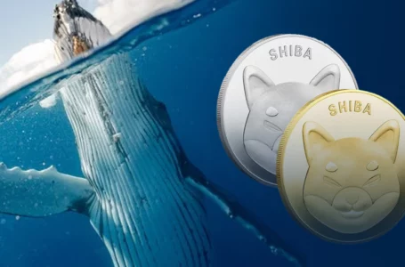 Shiba Inu Active Whale Addresses Jump 44% as SHIB Usage Increases