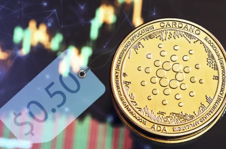 Cardano: This Indicator Reveals Buyers’ Indecision as Price Nears $0.50