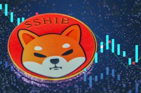 Shiba Inu Traders Experienced Lower Liquidations Than Other Altcoins Amid 12% Drop; Here’s Why