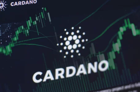 Cardano (ADA) Performs Better Than Majority of Crypto Market, Surviving Massive Sell-Off