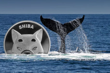356 Billion SHIB Bought by This Whale as Token Rises 6% Among Crypto Massacre