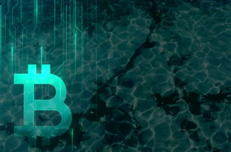 At Least 2 Indicators Show That Bitcoin Reached Bottom: Details