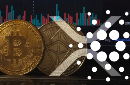 Cardano, XRP Face Institutional Inflows as Investors Draw Funds from Bitcoin and Ethereum