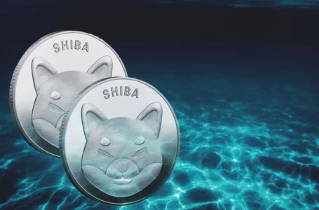 81% of Shiba Inu Investors Are Underwater, But Long-Term Holders Increase