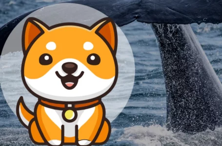 BabyDoge Returns as Most Popular Smart Contract as 2.6 Quadrillion Tokens Get Burned