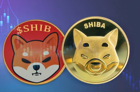 Shiba Inu Price Drops to Ten-Month Lows, Indicating This Historical Trend