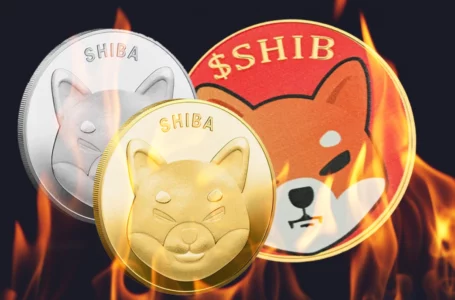 316 Million SHIB Burned in 2 Days, While SHIB Surpasses FTT on Top 10 Holdings List