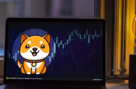 BabyDoge Circulating Supply Finally Verified by CoinMarketCap