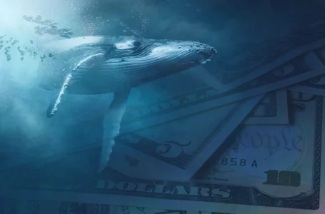 Largest Whale Inflow of $116,000 BTC Spotted; What Might It Mean for Price?