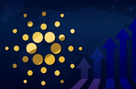 Cardano Is Seeing Institutional Inflows for Four Reasons: Community