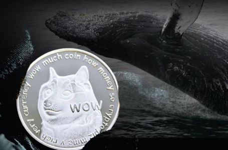 Dogecoin Faces Buying Pressure from Whales; Large Transactions Jump 68%