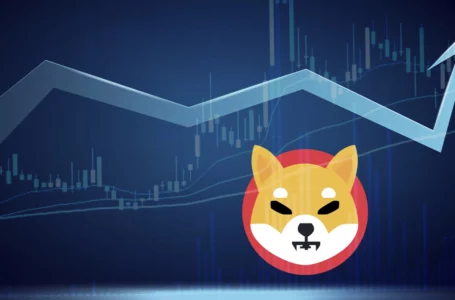 Shiba Inu Now Largest Held Asset After USDC for Ethereum Whales, Price Adds 4%