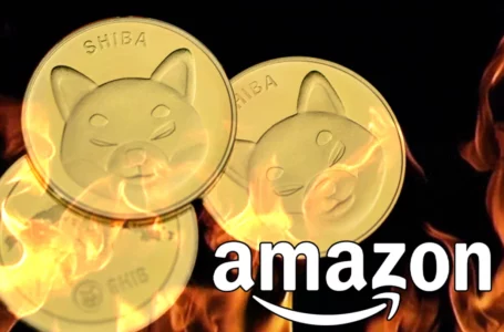 More Than 70 Million SHIB Burned Via Amazon This Sunday