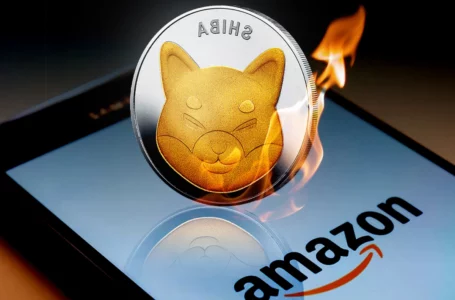 2.2 Billion SHIB Destroyed by This Amazon Burner Since November at Price 50% Higher Than Now