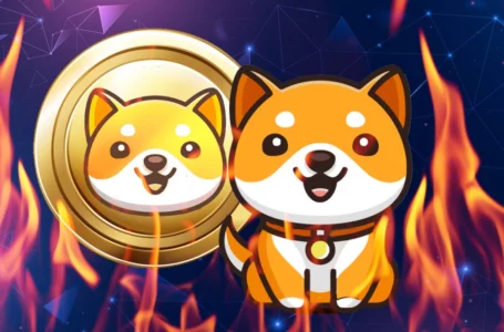 BabyDoge Army Burns 2.8 Quadrillion Coins Within Hour: Details