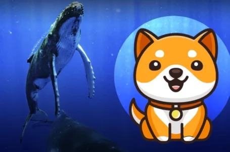BabyDoge Becomes Top 10 Most Purchased Coin for BSC Whales