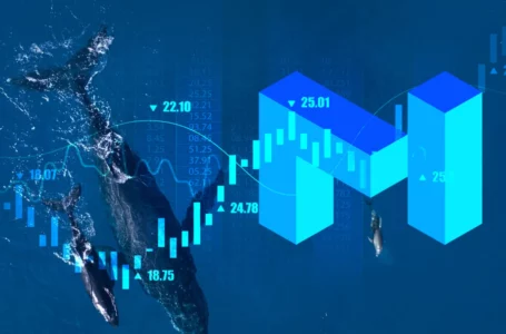 MATIC Soars 23.19% as Whale Wallets Show Sharp Rise of 8.7% Over Last 6 Weeks