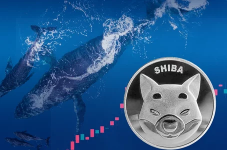 Shib Enters Top 10 Trading Volume List as Whale Buys 163 Billion SHIB