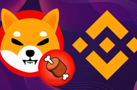 Shibaswap’s BONE Can Now Be Tracked on Binance