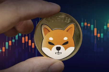 SHIB Reaches New Community Milestone: Report
