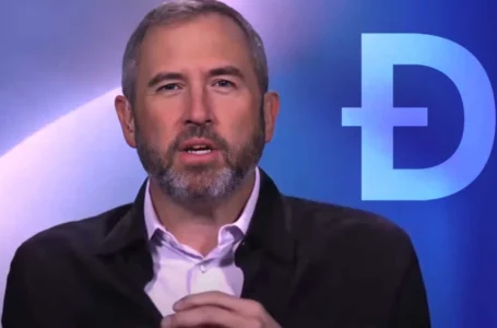 DOGE Should Not Be Banned to Protect Traders: Brad Garlinghouse