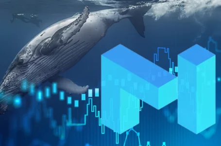 15 Million MATIC Bought by ETH Whale as Token Rises 26% in Past 3 Days