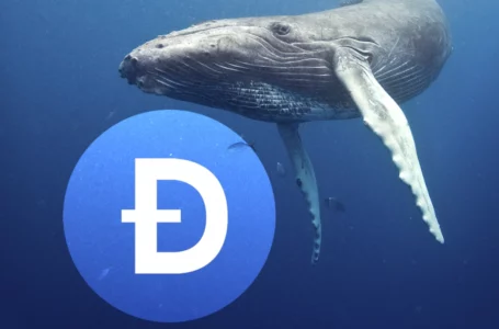 Dogecoin Whale Transactions Jump 45% as DOGE Sees Buying Pressure